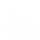 BlueTulip Ventures