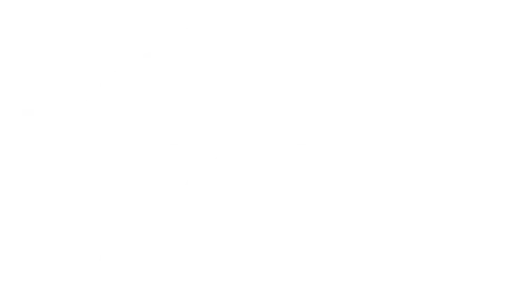 Bridge Logo