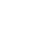 cervin venture